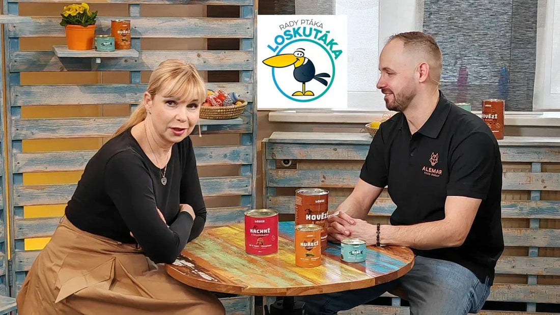Rady a tipy od LOUIE alebo Pták Loskuták je zase o niečo múdrejší