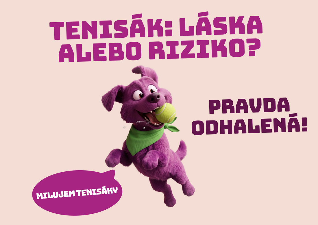 Tenisák a pes: láska na prvý aport, alebo hračka, s ktorou zaobchádzať s rozumom?