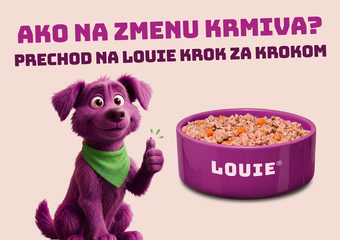 Ako bezpečne prejsť na nové krmivo? Prechod na LOUIE krok za krokom