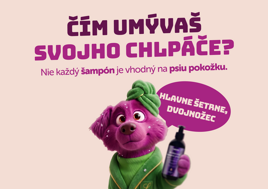 Šampón pre psa: prečo záleží na tom, čím ho umývaš?