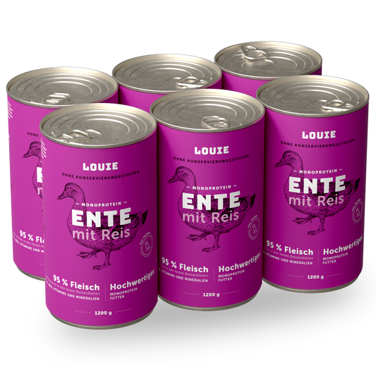 Vorteilspackung mit 6 Stück - Ente mit reis 1200g